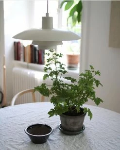 Vakkerlight Three-layer Pendant Light