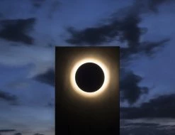 Vakkerlight Wall Sconces Pin Wall Lamp