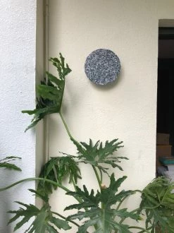 Vakkerlight Wall Sconces Pin Wall Lamp