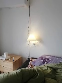 Budget 😀 Vakkerlight Plug-in Wall Light 🌟 55 Vakkerlight Plug-in Wall Light