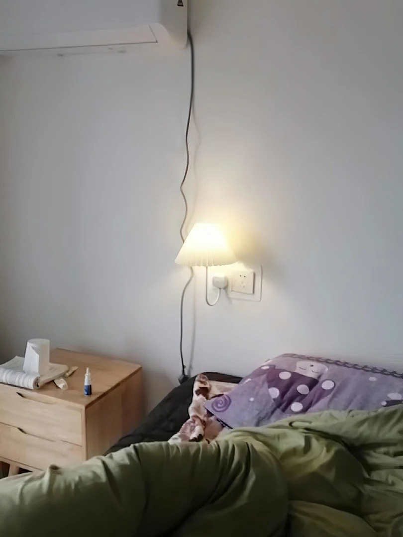 Budget 😀 Vakkerlight Plug-in Wall Light 🌟 17 Vakkerlight Plug-in Wall Light