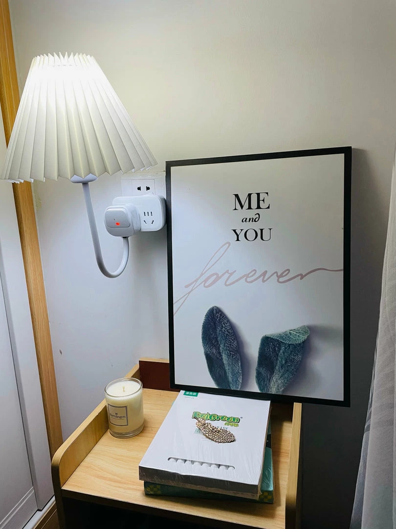 Budget 😀 Vakkerlight Plug-in Wall Light 🌟 28 Vakkerlight Plug-in Wall Light