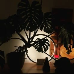 Vakkerlight Bedroom Portal Table Lamp