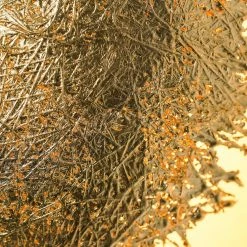 Vakkerlight Wall Sconces PostKrisi Wall Lamp