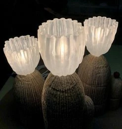 Vakkerlight RBS Cactus Lamp
