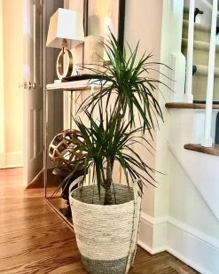 Cheap 🌟 Vakkerlight Table Lamps Ring Form Table Lamp ⌛ 37 Vakkerlight Table Lamps Ring Form Table Lamp