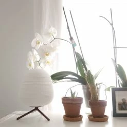 Vakkerlight Rituals Table Lamp Bedroom