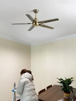 New ๐ Vakkerlight Ceiling Lamp Rozzen Ceiling Fan ๐ 56 Vakkerlight Ceiling Lamp Rozzen Ceiling Fan