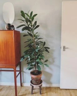 Cheap 💯 Vakkerlight Serena Table Lamp Table Lamps 🔔 93 Vakkerlight Serena Table Lamp Table Lamps