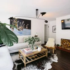 Budget โจ Vakkerlight Serge Mouille Ceiling Light Ceiling Lamp ๐ฅ 60 Vakkerlight Serge Mouille Ceiling Light Ceiling Lamp