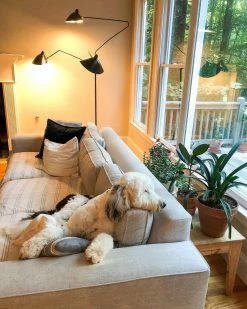 Vakkerlight Serge Mouille Floor Lamp