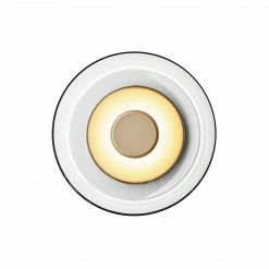 Wholesale 🔔 Vakker Blossi Wall Light 😉 52 Vakker Blossi Wall Light