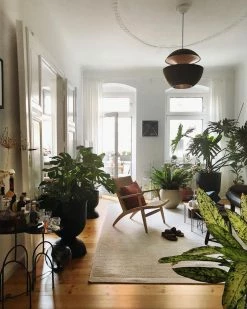 Vakkerlight Sun Pendant Lamp Pendant Lights