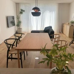 Vakkerlight Sun Pendant Lamp Pendant Lights