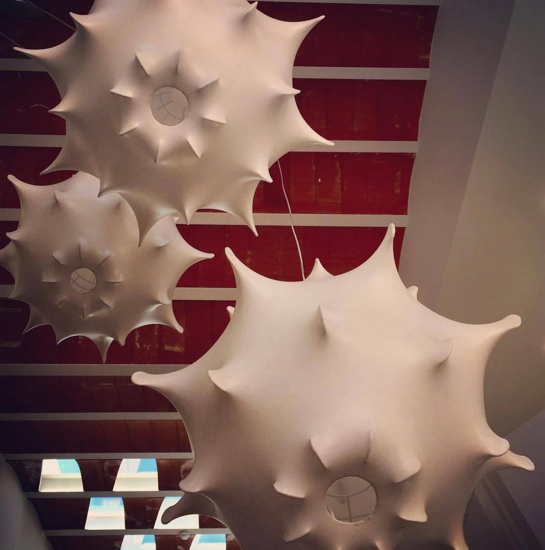 New ❤️ Vakkerlight Taraxacum Suspension Lamp 🔥 12 Vakkerlight Taraxacum Suspension Lamp