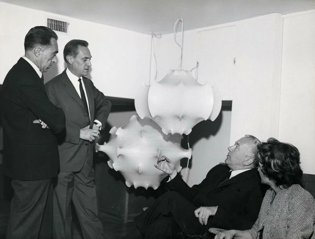 New ❤️ Vakkerlight Taraxacum Suspension Lamp 🔥 23 Vakkerlight Taraxacum Suspension Lamp