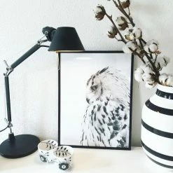 Vakkerlight All Rooms Tolomeo Micro Table Lamp