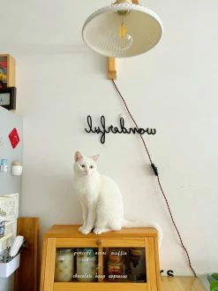 Vakkerlight Wall Sconces Walnut Telescopic Wall Lamp