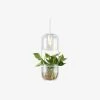 Vakkerlight Water Plants Glass Pendant Light Pendant Lights