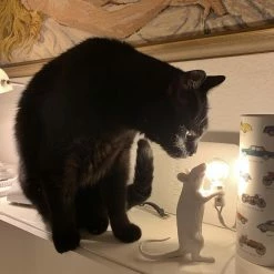 Vakkerlight Mouse Table Light