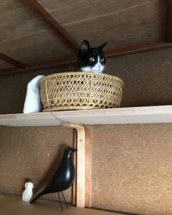 Vakkerlight Accessories Eames House Bird