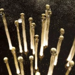 Vakkerlight Allure Chandelier