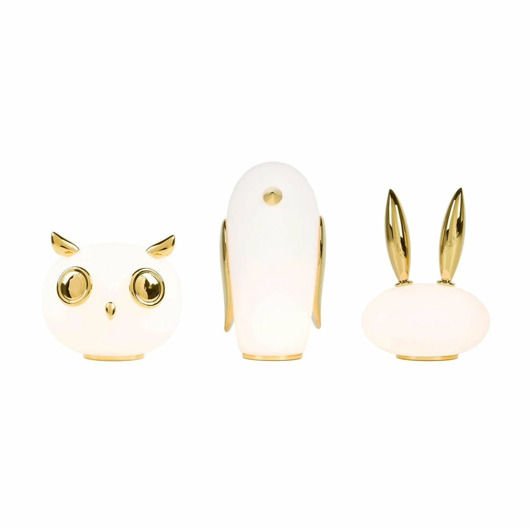 Best reviews of ❤️ Vakkerlight Pet Desk Light Table Lamps ✔️ 5 Vakkerlight Pet Desk Light Table Lamps